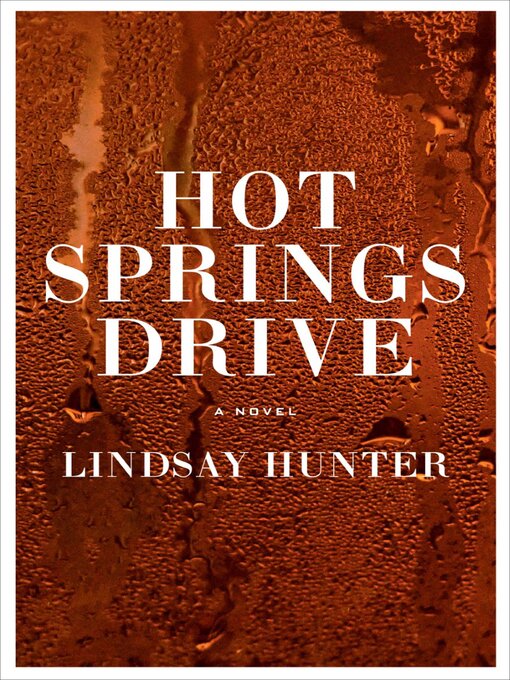 Title details for Hot Springs Drive by Lindsay Hunter - Wait list